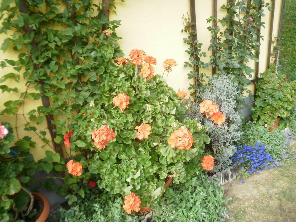 Haus Vordertiefenbach Hotel วาไกรน์ ภายนอก รูปภาพ